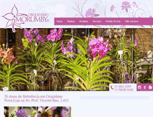 Tablet Screenshot of morumby.com.br